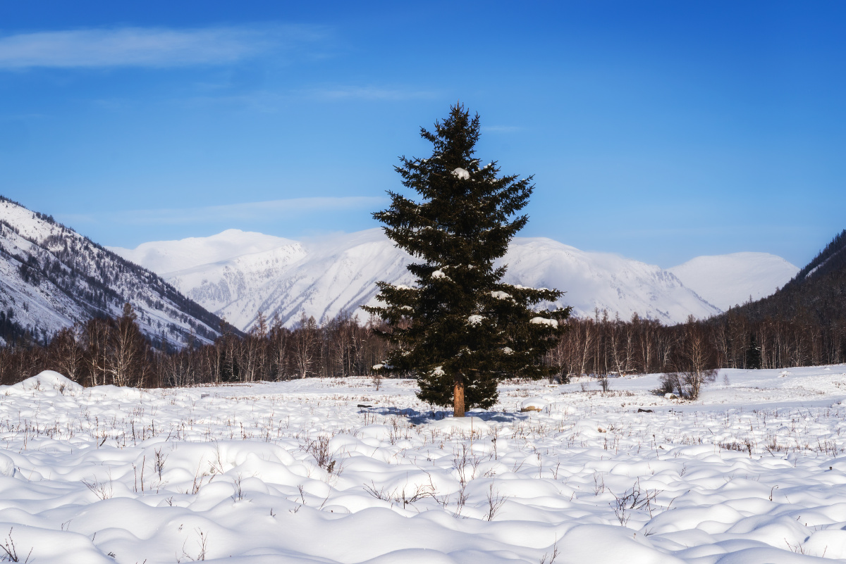 凇涛厚雪更冬寒
