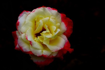 001