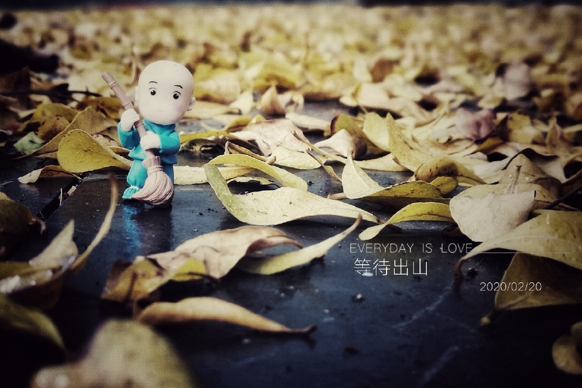 小和尚下山来