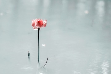 806822