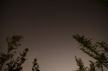 DSC_0416.JPG