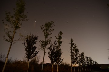 DSC_0417.JPG