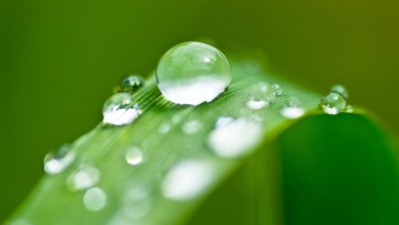 8D7DF5FD-407D-4265-B650-C2909CD3F306/L0/001