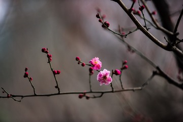 1080513