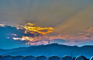 夕辉