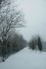 IMGP0717.jpg