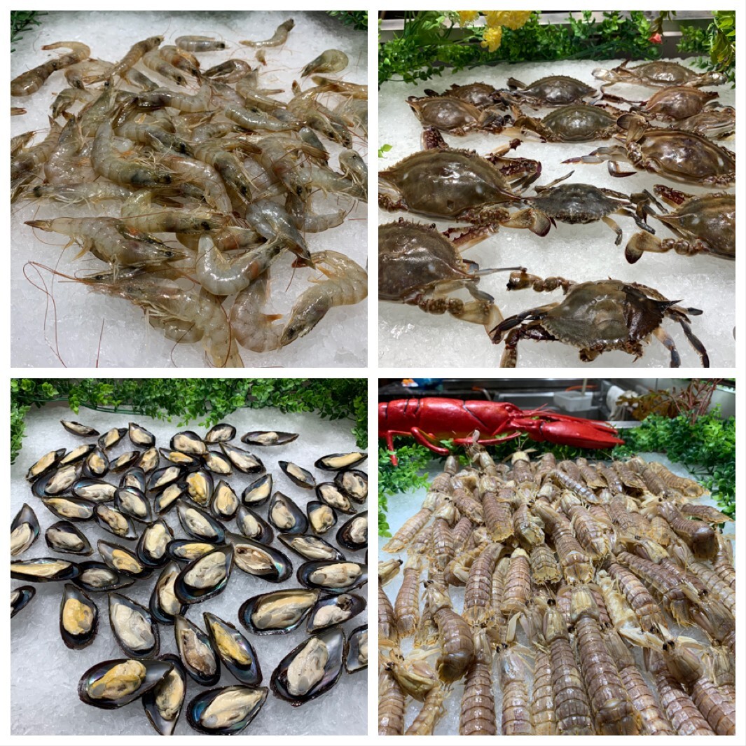 泰国卜蜂快虾养殖