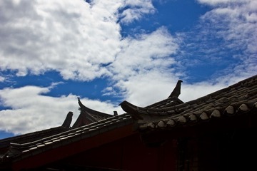 IMG_1833.jpg