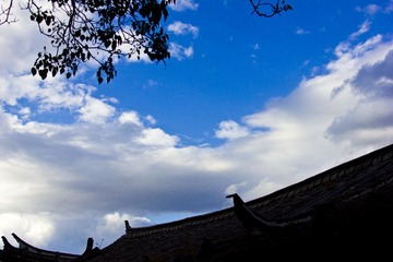 IMG_1945.jpg