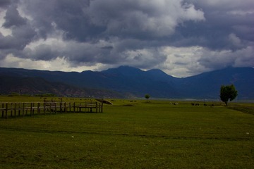 IMG_1981.jpg