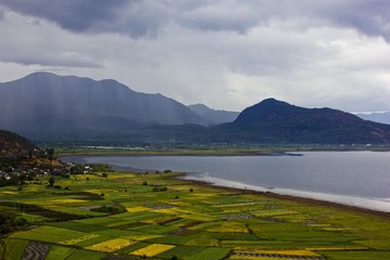 IMG_2008.jpg