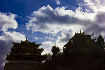 IMG_2200.jpg