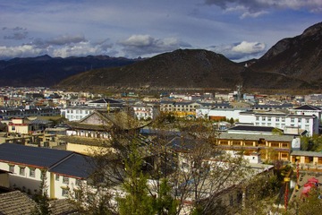 IMG_2203.jpg