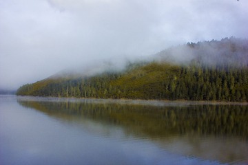IMG_2239.jpg