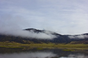 IMG_2242.jpg