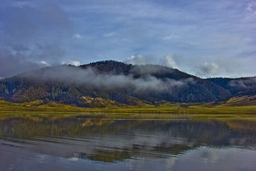 IMG_2245.jpg