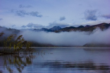 IMG_2257.jpg