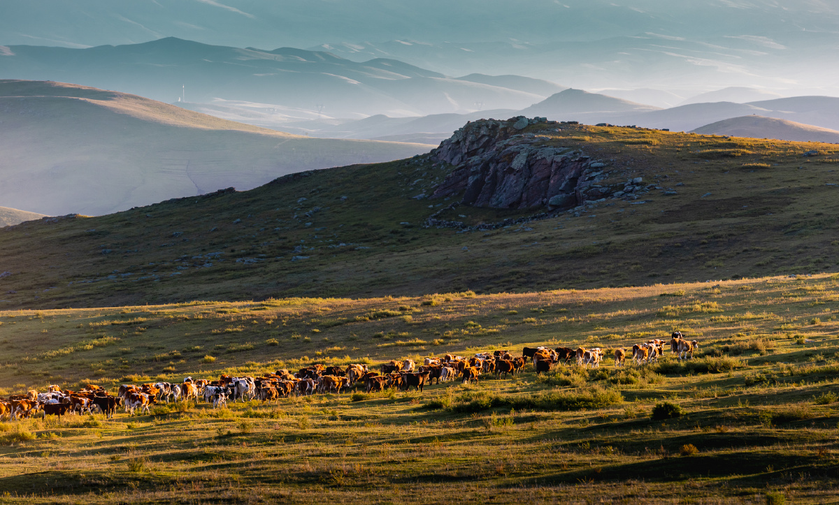 高山牧场的黄昏