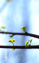 2013040206.jpg