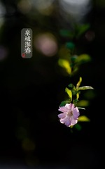 2013040208.jpg