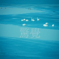 005
