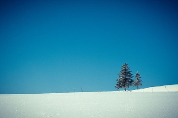 雪谷022