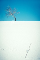 雪谷023