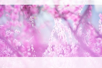 2014032303