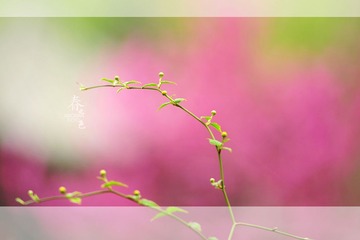 2014032308
