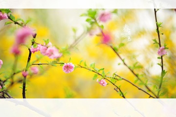 2014032310