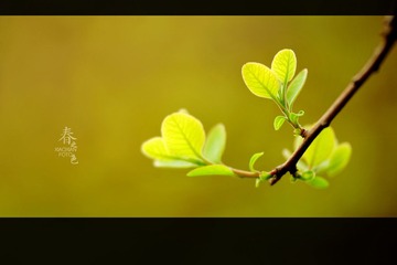 2014032314