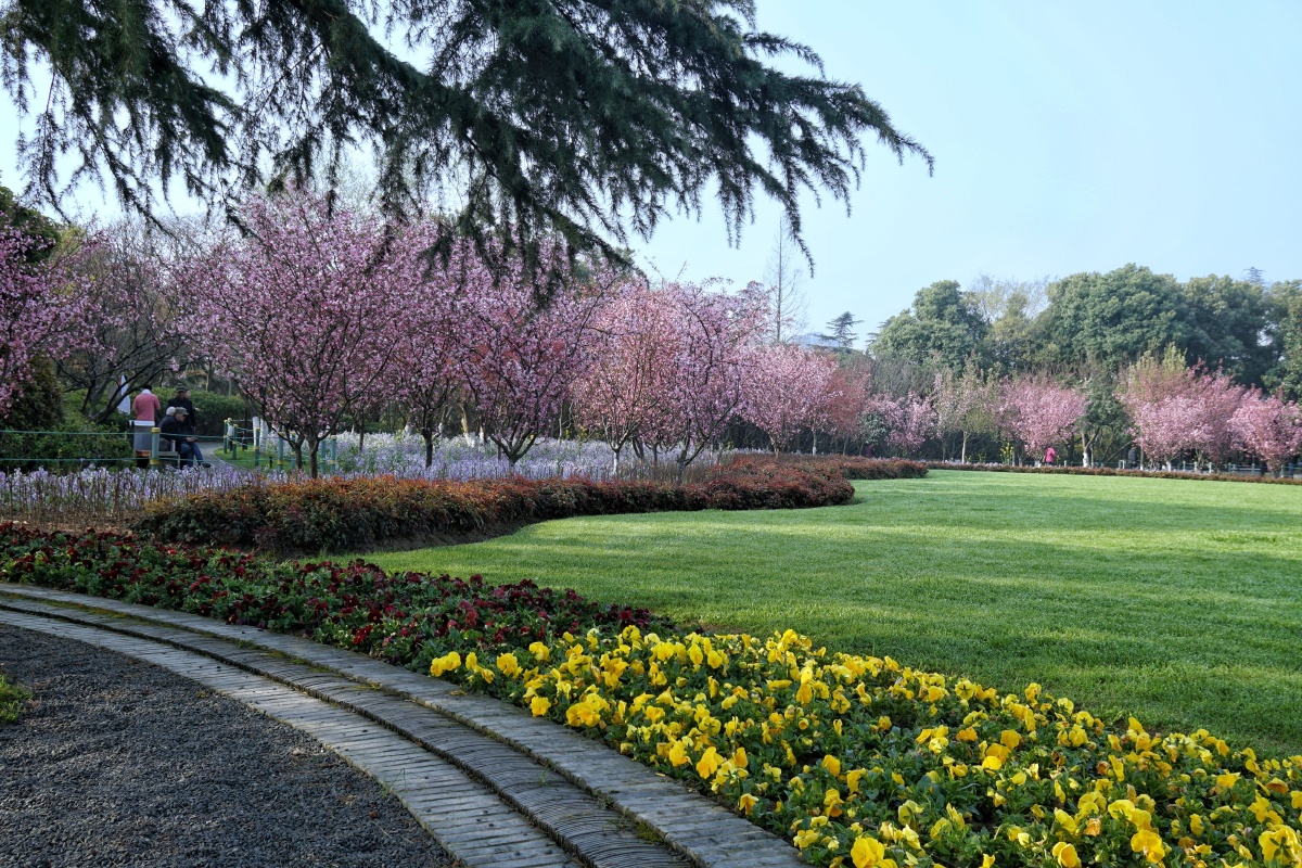 撮於常州荆川公园海棠花会
