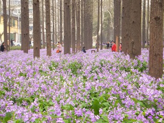 DSCF2106.JPG