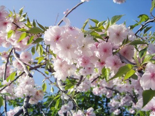 IMG_2438.JPG