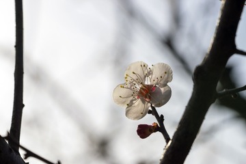 _DSC0894