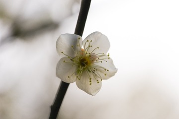 _DSC0810