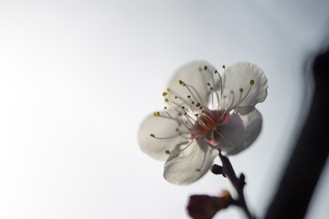 _DSC0901