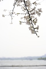 _DSC1574