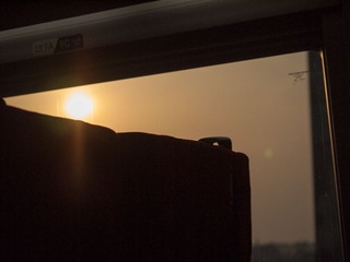 _1020595.jpg