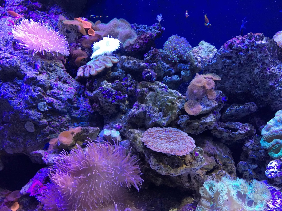 四川双流海洋馆