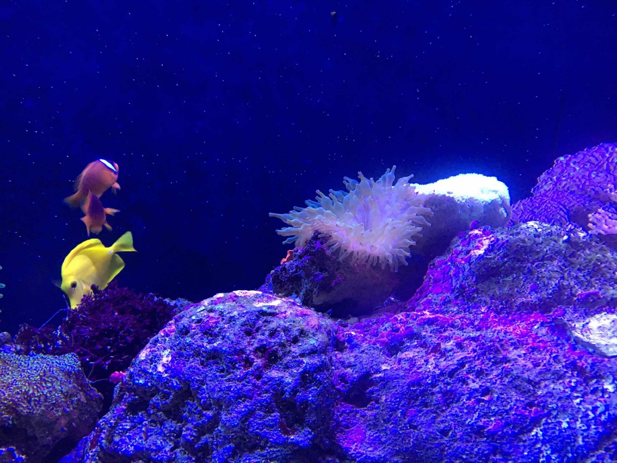 四川双流海洋馆