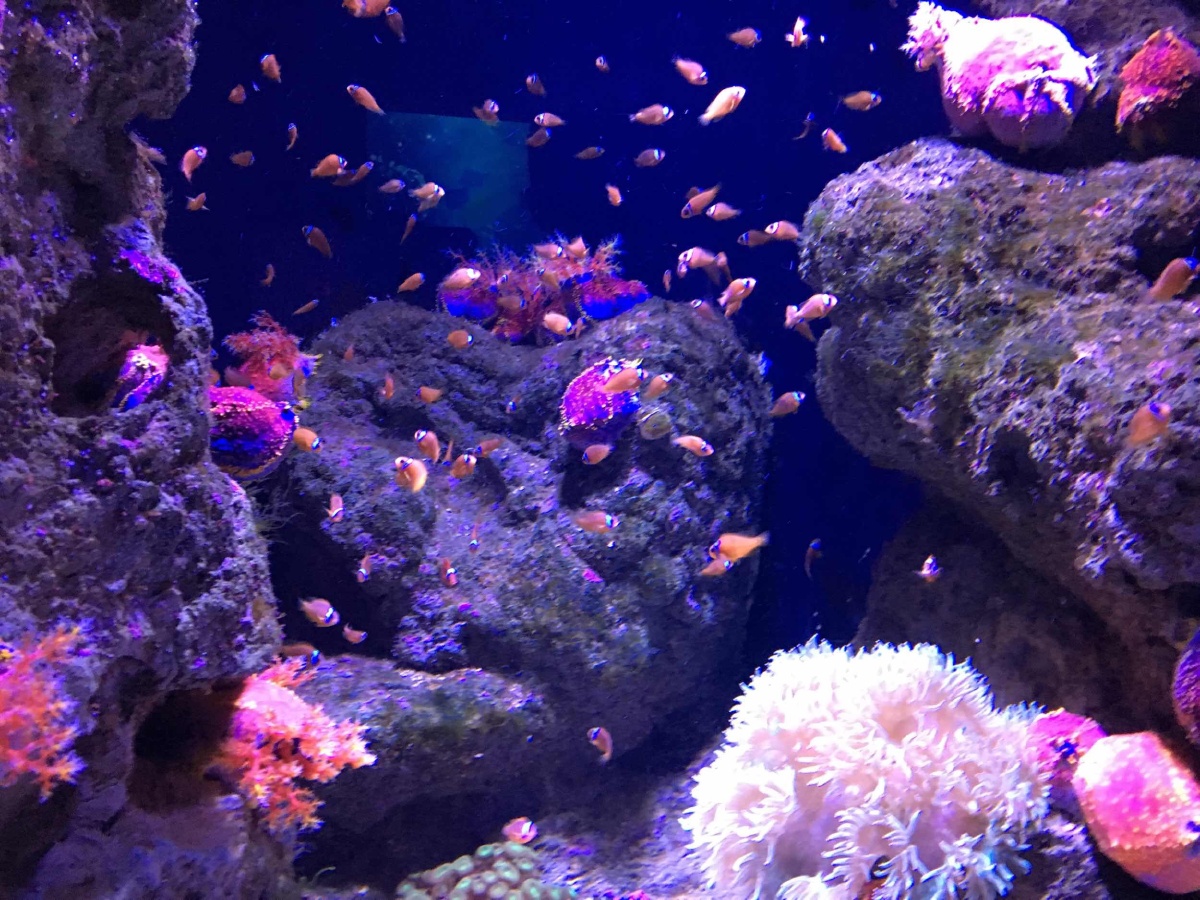 四川双流海洋馆