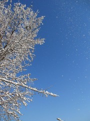 DSCN4904.JPG