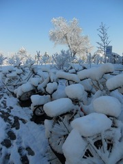 DSCN4906.JPG