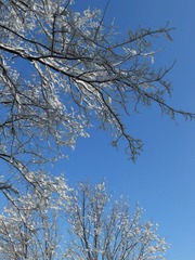 DSCN4909.JPG