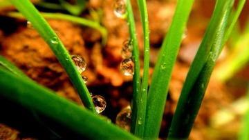 DSC06265_副本.jpg
