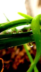 DSC06249_副本.jpg