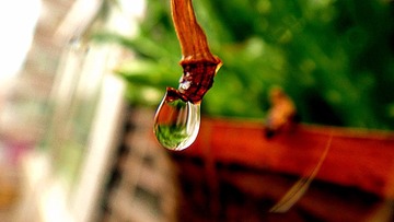DSC06225_副本.jpg