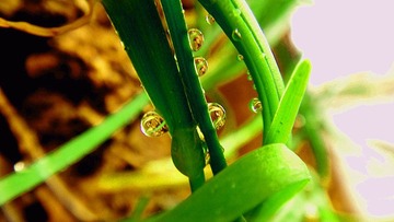 DSC06248_副本.jpg