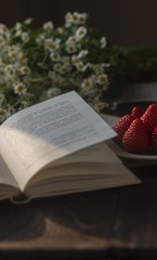 683AEA8C-E6A6-4269-93C0-E7D70D1047DB/L0/001